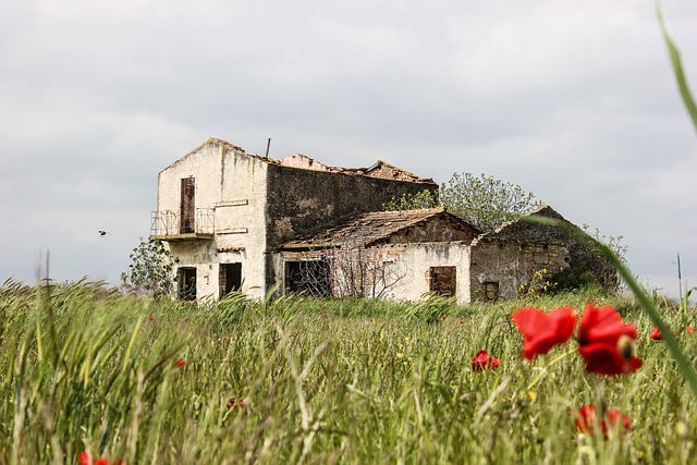 Coming Home to an abandoned house - B2 story